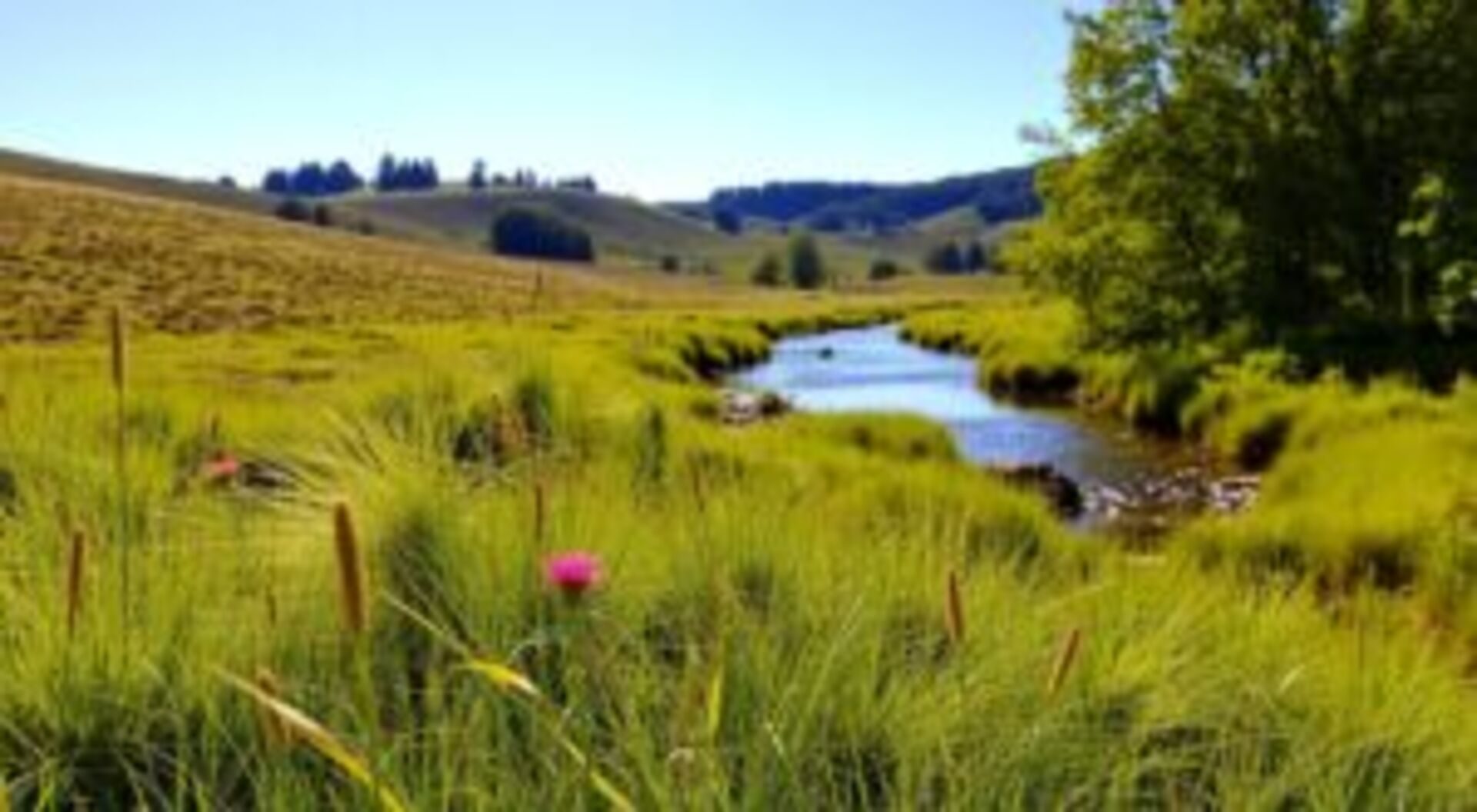 divagações para relaxar