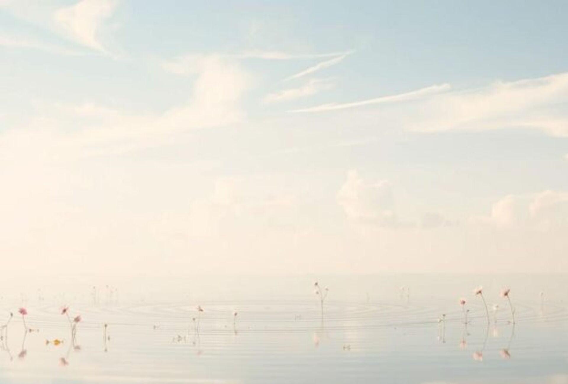 pensamentos aleatórios e leves