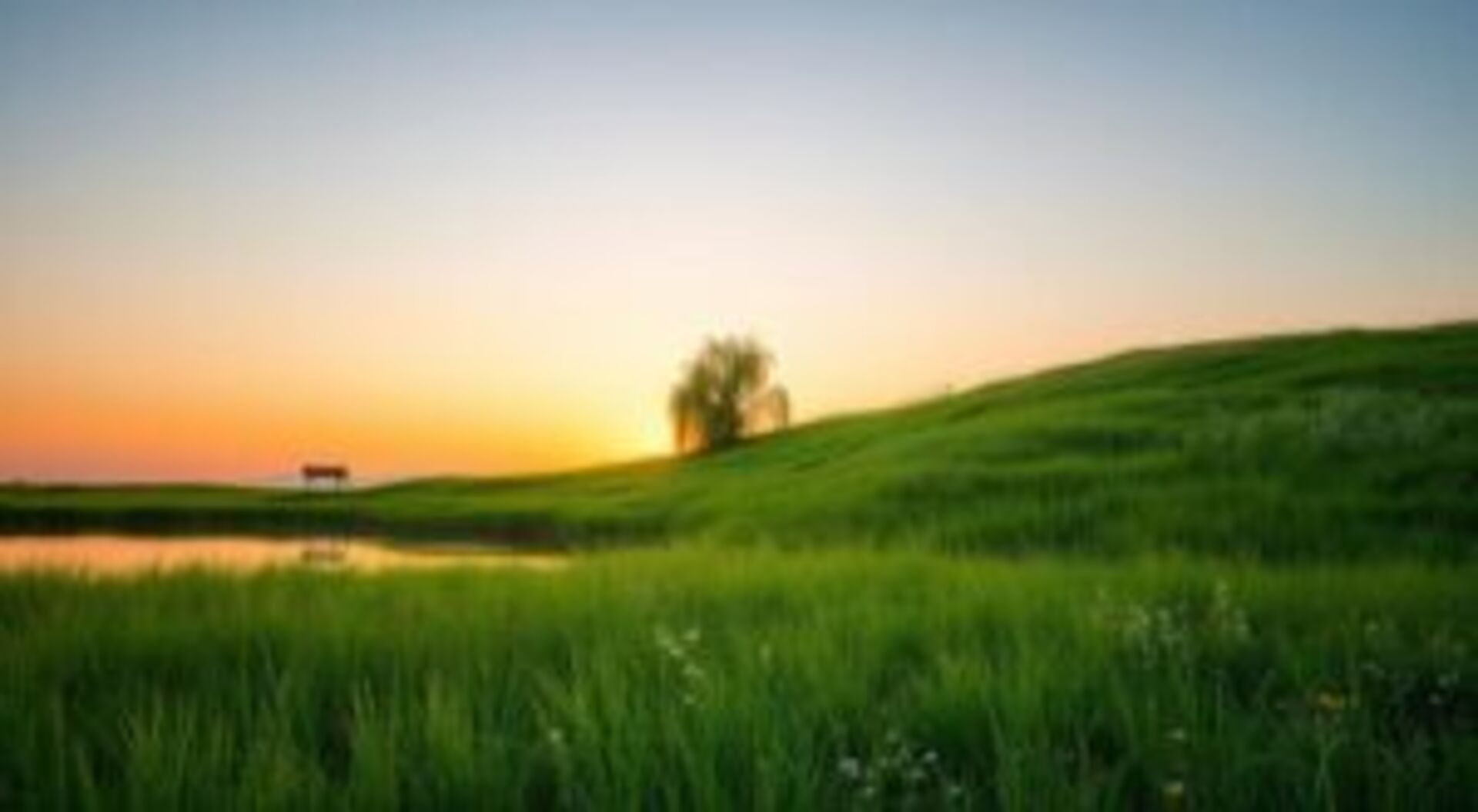 pensamentos que acalmam