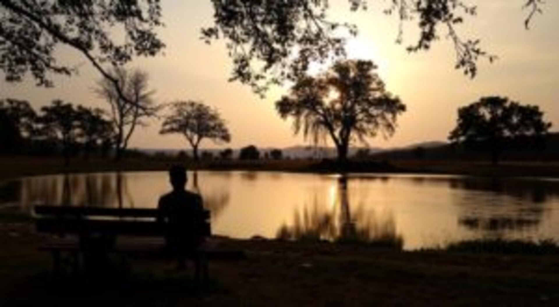 reflexões tranquilas sobre a vida